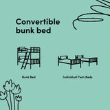 Caribou twin bunk bed drawing of two conversions
