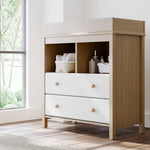 Storkcraft® Alpine 2 Drawer Chest with Removable Changing Topper.