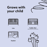 Pasadena crib drawings of 3 conversions