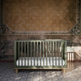 Sicily olive with driftwood crib in a nursery