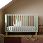 Sicily sage with driftwood crib in a nursery