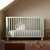 Sicily sage with driftwood crib in a nursery