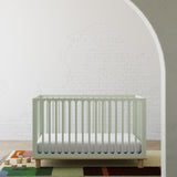 Sicily sage with driftwood crib in a nursery