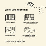 Mallorca Crib in Hazelnut Callout image
