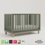 Sicily olive with driftwood crib 360 video