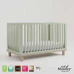 Sicily sage with driftwood crib 360 video